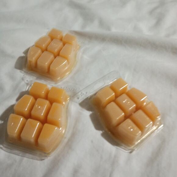 Scentsy Bar BEACH 3.2 oz Authentic(Set of 3) scented wax - Picture 3 of 3